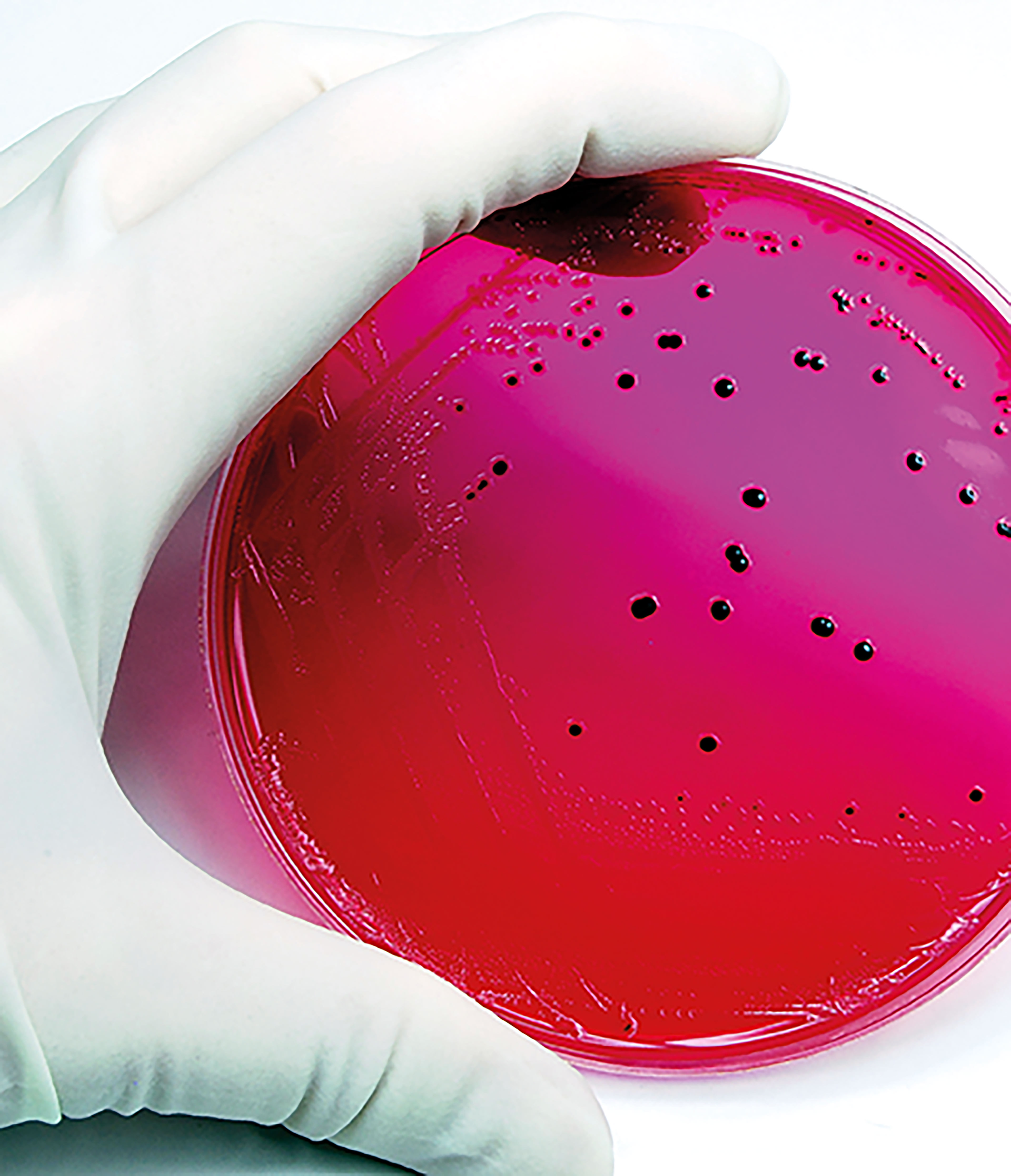 Newcastle College Science 5